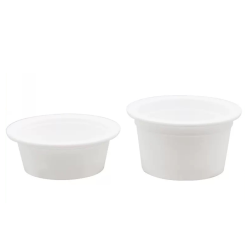 Custom PP Plastic Disposable Containers