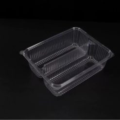 Blister-molded Custom Plastic Double Tray
