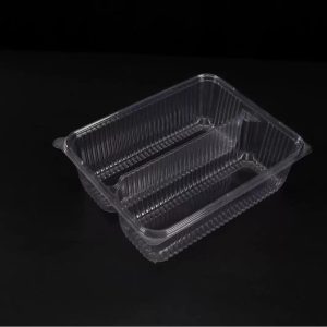 Blister-molded Custom Plastic Double Tray