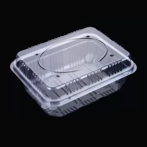 Custom Plastic Takeout Container