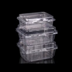 Plastic High Capacity Takeout Container