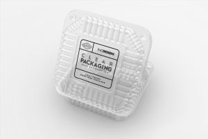 Plastic Square Takeout Box With Custom Printing