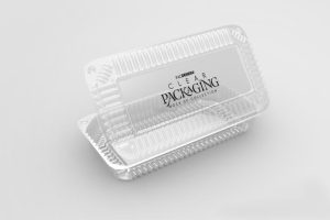 Plastic Rectangle Takeout Box With Custom Printing